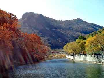 青岛平度七曜山区域发生山火，正全力扑救中|界面新闻 · 快讯